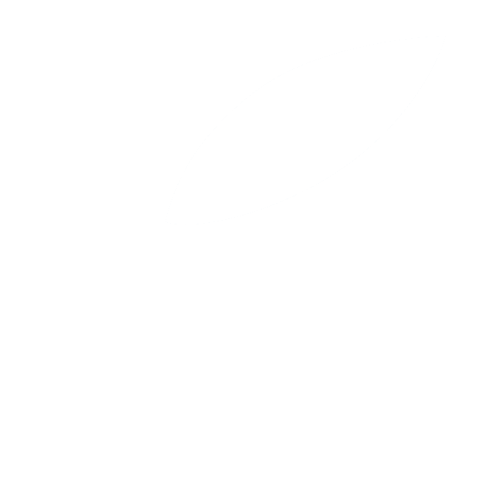 Olesa Digital
